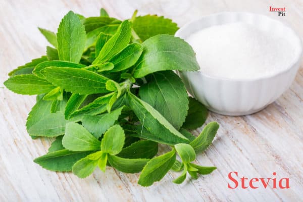 Stevia for vegan friendly drinks