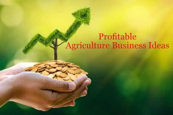 Profitable Agriculture Business